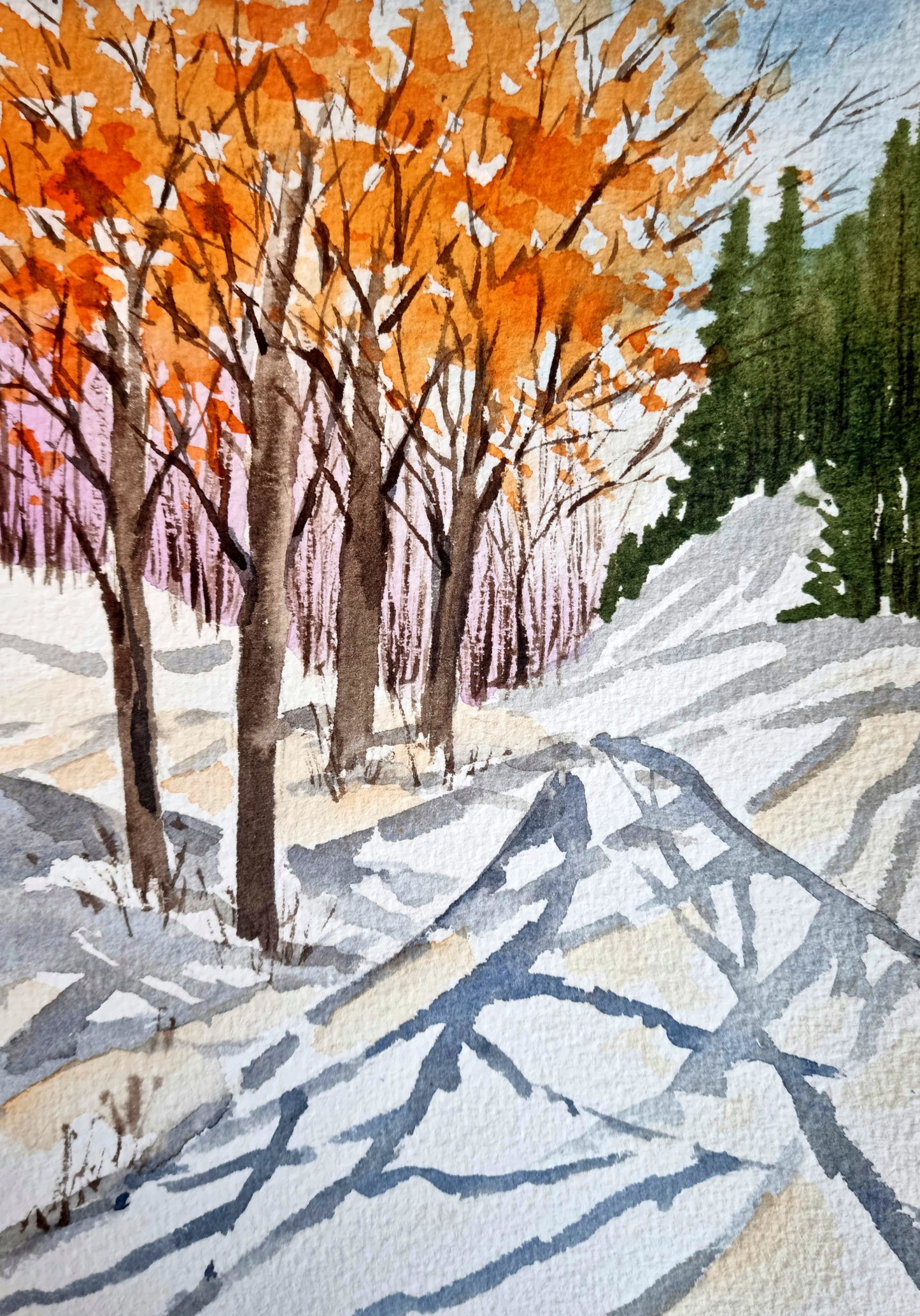 The Colors of Changing Seasons