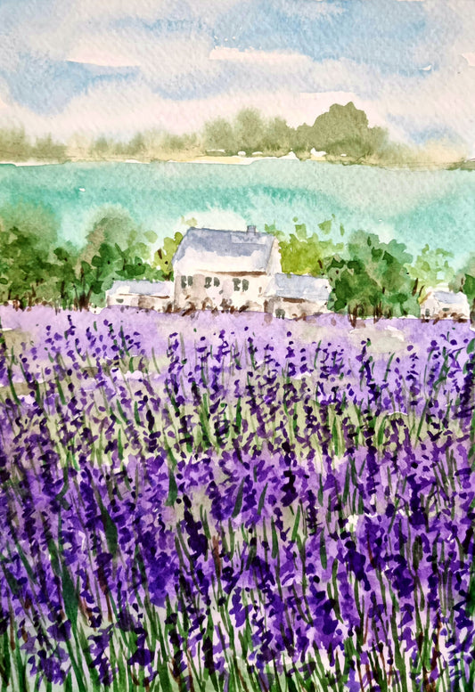 Lavender Dream