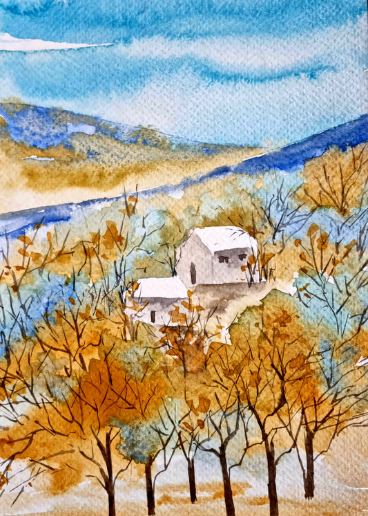 Tranquil Heights