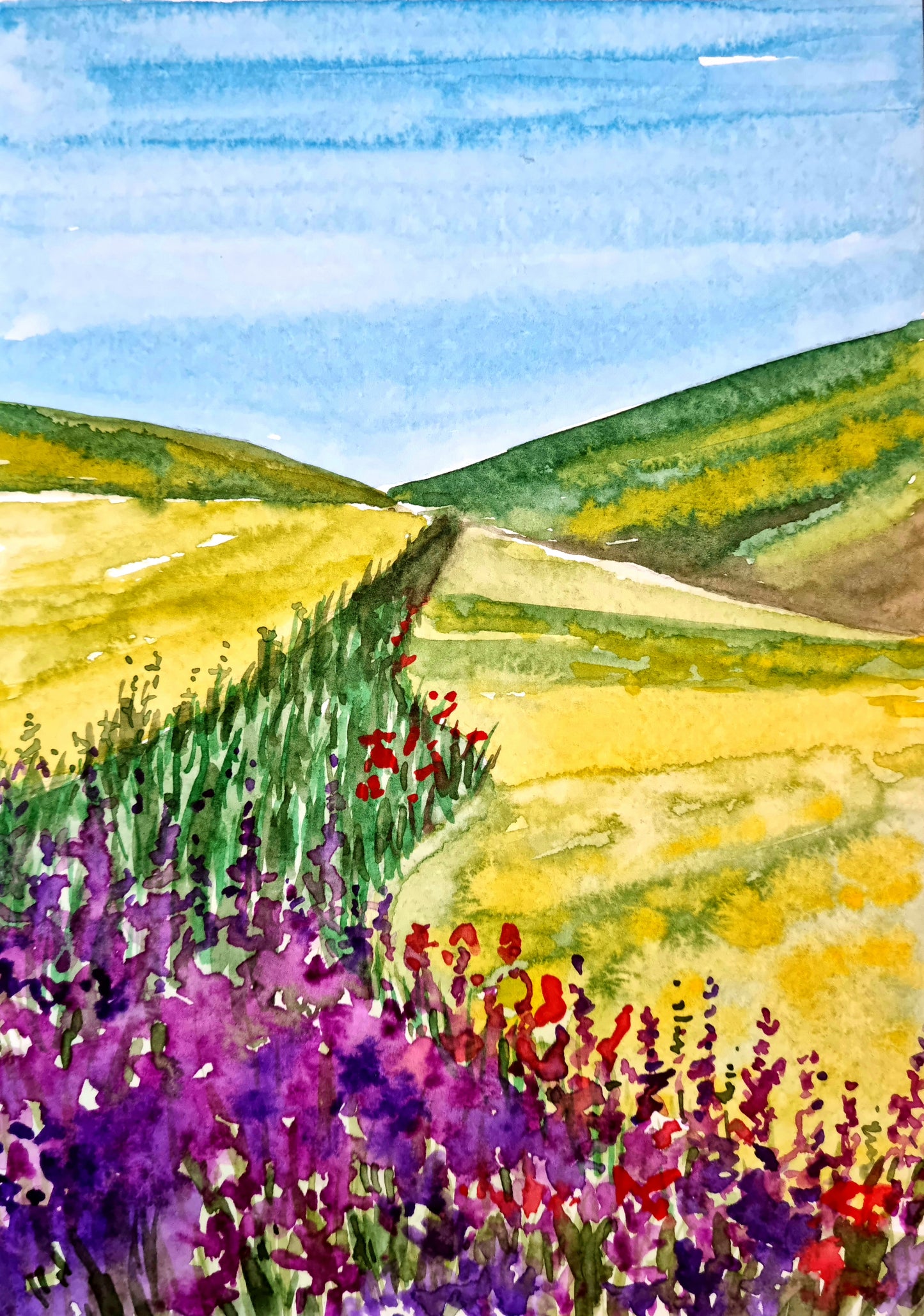 Watercolor Meadows in Bloom
